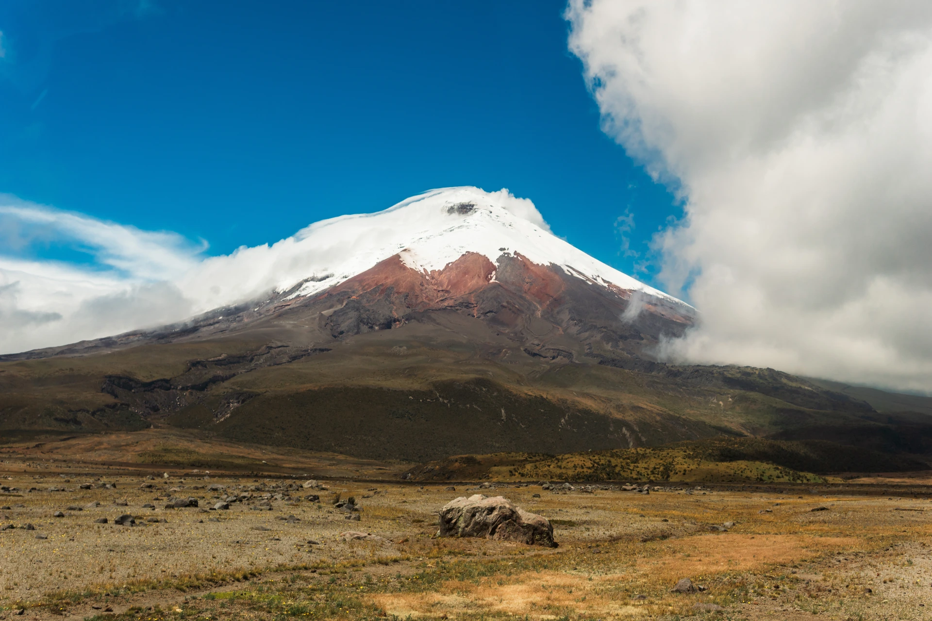 Snow-capped Cotopaxi above the open highland landscape